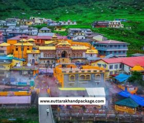 Badrinath Aerial View